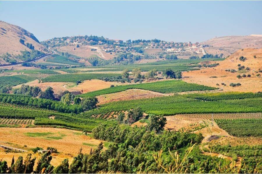 קרקעות למכירה