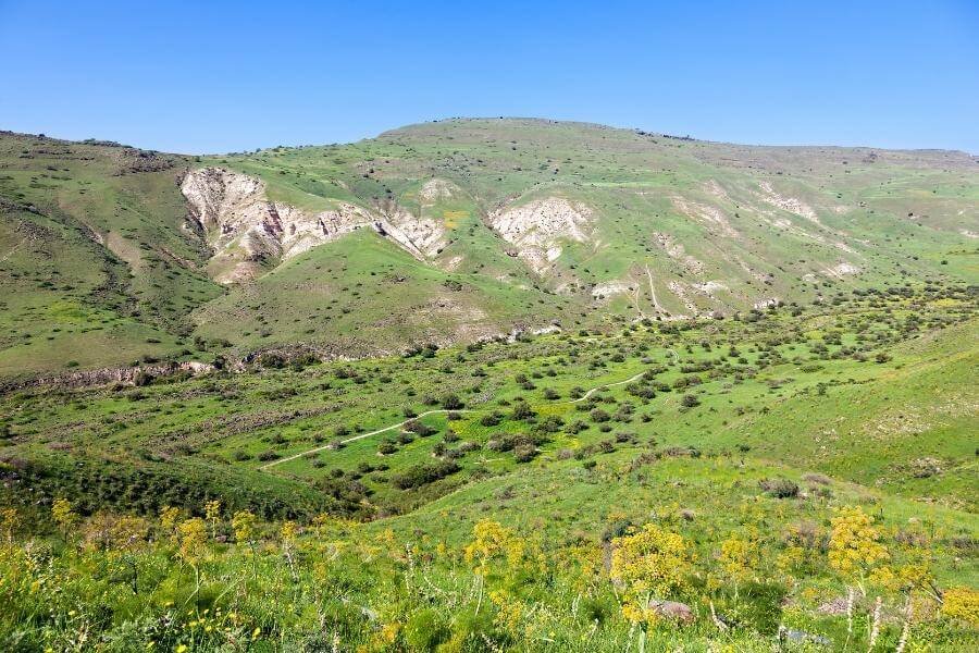 הפשרת קרקעות